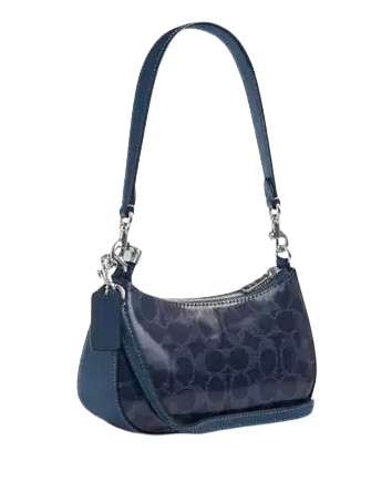 Coach Teri Mini Crossbody Bag In Signature Canvas