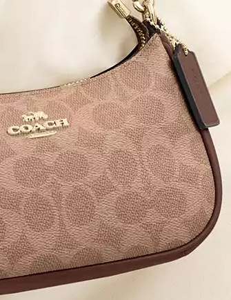 Coach Teri Mini Crossbody Bag In Signature Canvas
