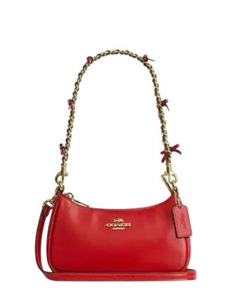Coach Teri Mini Crossbody Bag With Bows