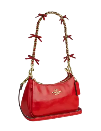 Coach Teri Mini Crossbody Bag With Bows