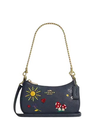 Coach Teri Mini Crossbody Bag With Embroidery