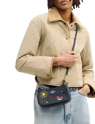 Coach Teri Mini Crossbody Bag With Embroidery