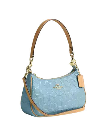 Coach Teri Shoulder Bag In Signature Leather