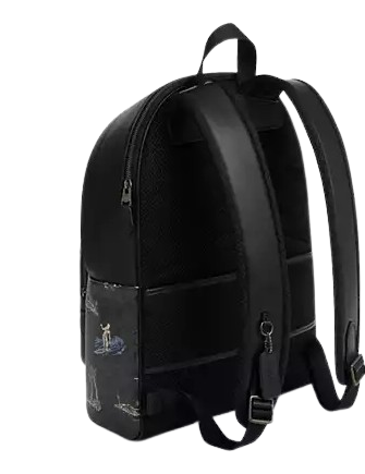 Coach West Backpack In Signature Canvas With Surf Print