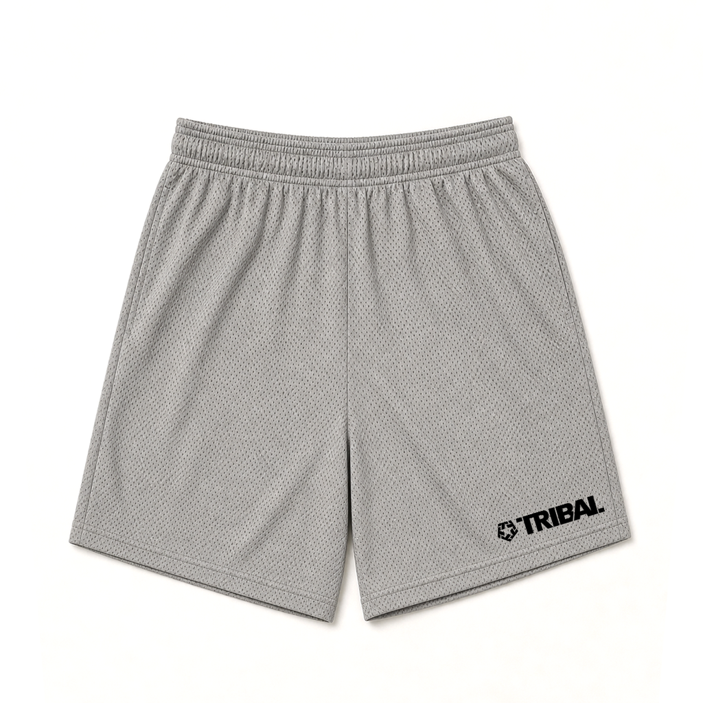 Grey Mesh Shorts