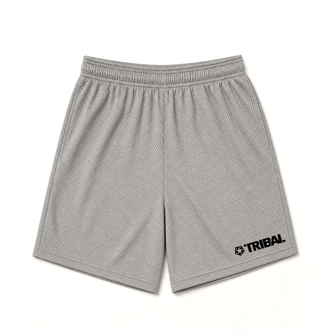 Grey Mesh Shorts