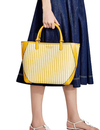 Kate Spade New York Buddie Striped Straw Small Tote