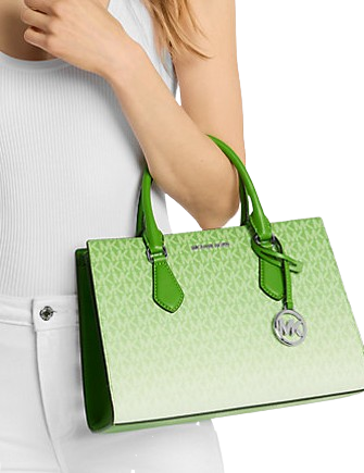 Michael Michael Kors Sheila Medium Ombre Signature Logo Satchel