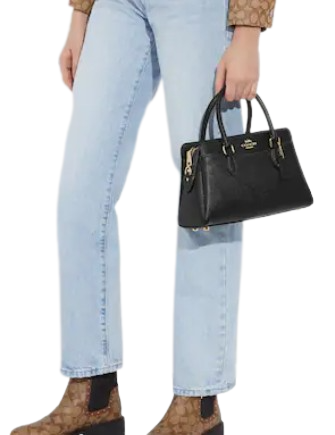 Coach Mini Darcie Carryall
