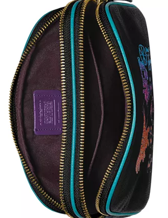 Coach Rexy and Carriage Sadie Crossbody