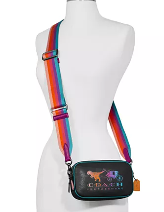 Coach Rexy and Carriage Sadie Crossbody