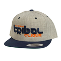 Throwback - Heather/Navy Snapback