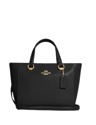 Coach Alice Satchel