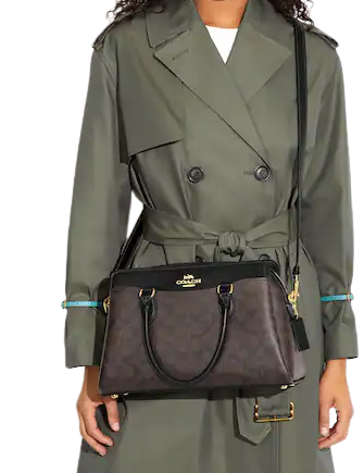 Coach Darcie Carryall In Signature Canvas