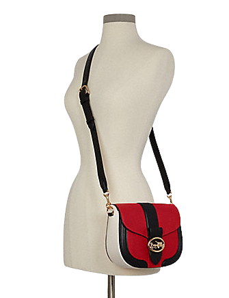 Coach Georgie Saddle Bag In Colorblock