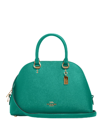 Coach Katy Satchel