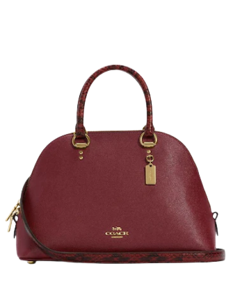 Coach Katy Satchel