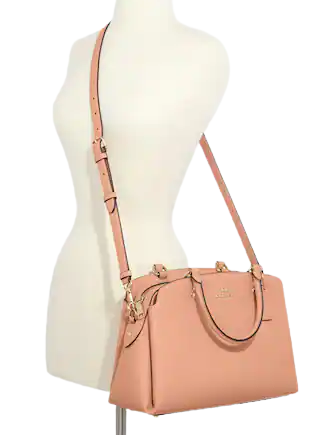 Coach Lillie Carryall