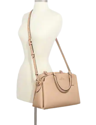 Coach Lillie Carryall