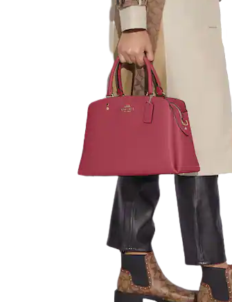 Coach Lillie Carryall