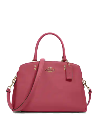 Coach Lillie Carryall