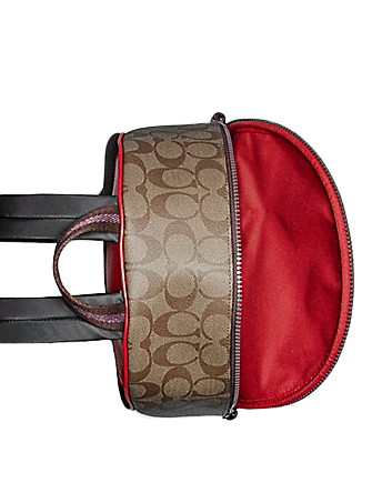 Coach Medium Charlie Backpack in Signature Canvas With Cherry Motif