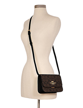 Coach Mini Brynn Crossbody In Signature Canvas