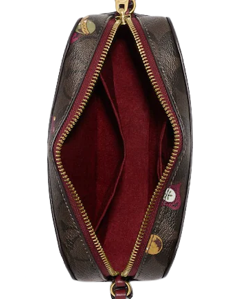Coach Mini Camera Bag In Signature Canvas With Ornament Print