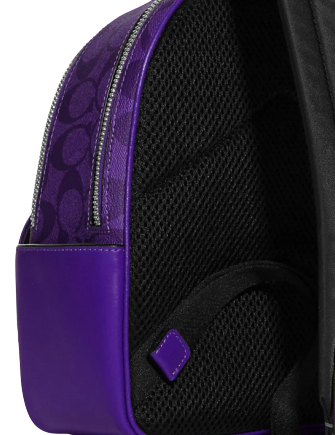 Coach Mini Court Backpack In Signature Canvas