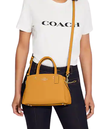 Coach Mini Lillie Carryall