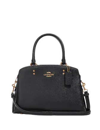 Coach Mini Lillie Carryall