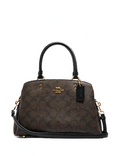 Coach Mini Lillie Carryall In Signature Canvas
