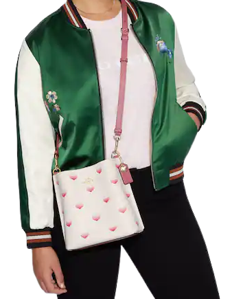 Coach Mollie Bucket Bag 22 With Stripe Heart Print