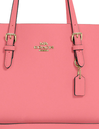 Coach Mollie Tote 25Handbags
