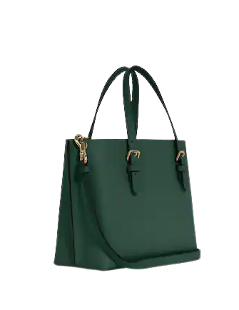 Coach Mollie Tote 25