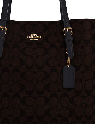 Coach Mollie Tote In Signature Canvas