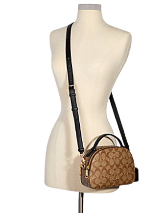 Coach Serena Satchel In Signature Canvas