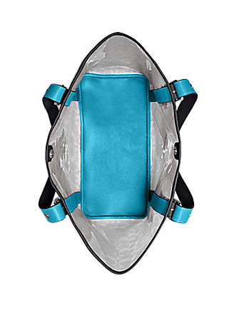 Coach Small Ferry Tote in Signature Clear Canvas