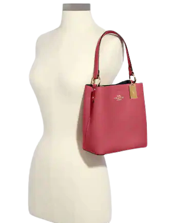 Coach Small Town Bucket Bag