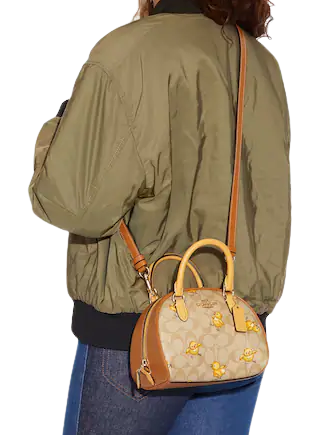 Coach Sydney Satchel In Signature Canvas With Tossed Chick Print