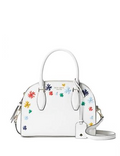 Kate Spade New York Reiley Raffia Medium Dome Satchel